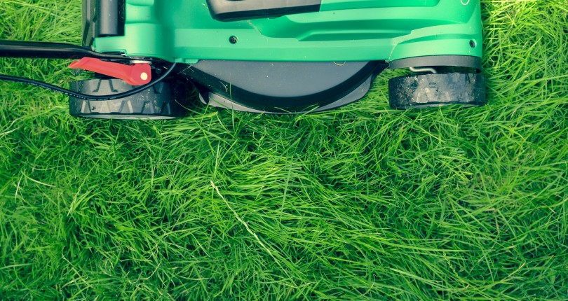 Is Your Lawn Ready For Summer?