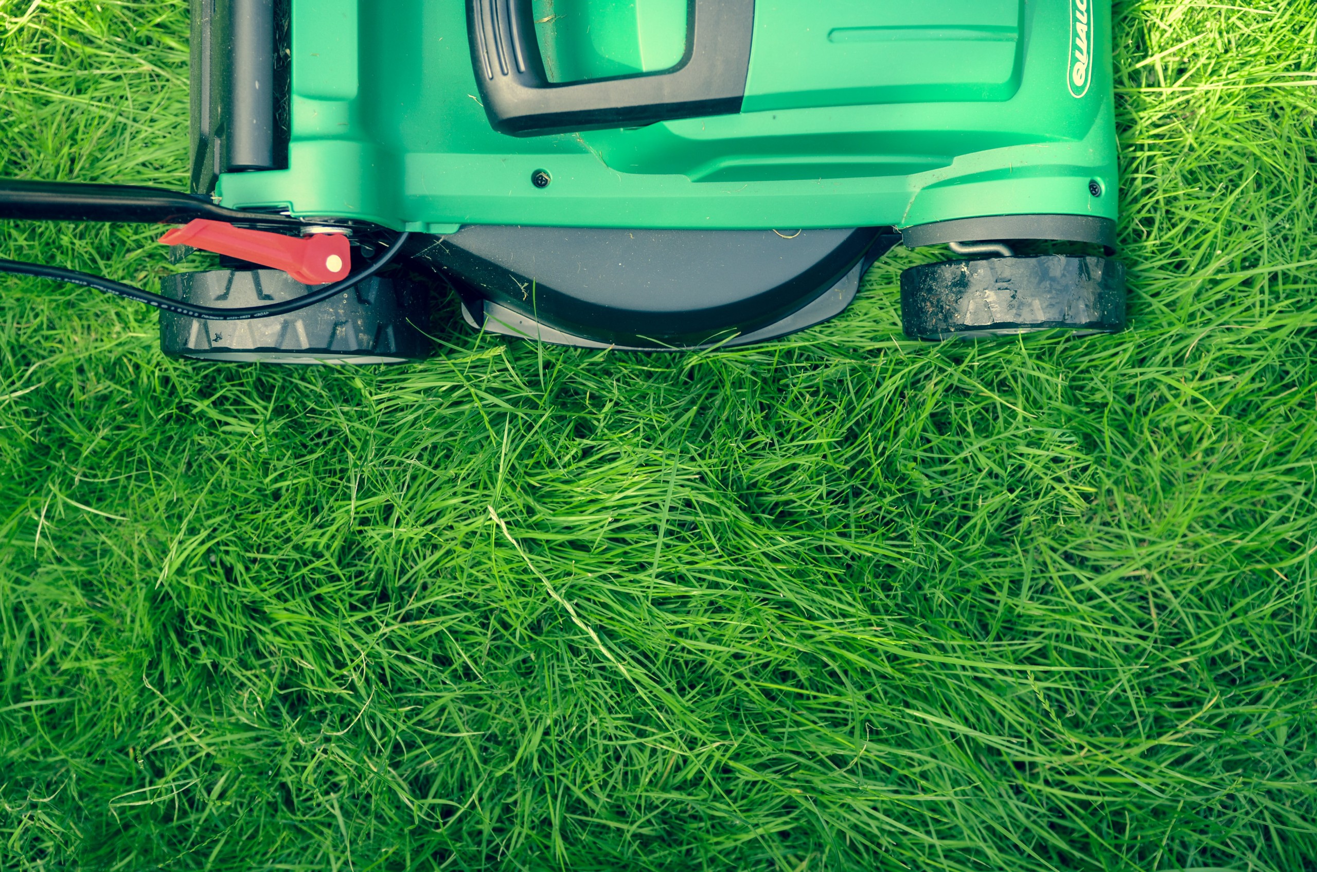 Is Your Lawn Ready For Summer?