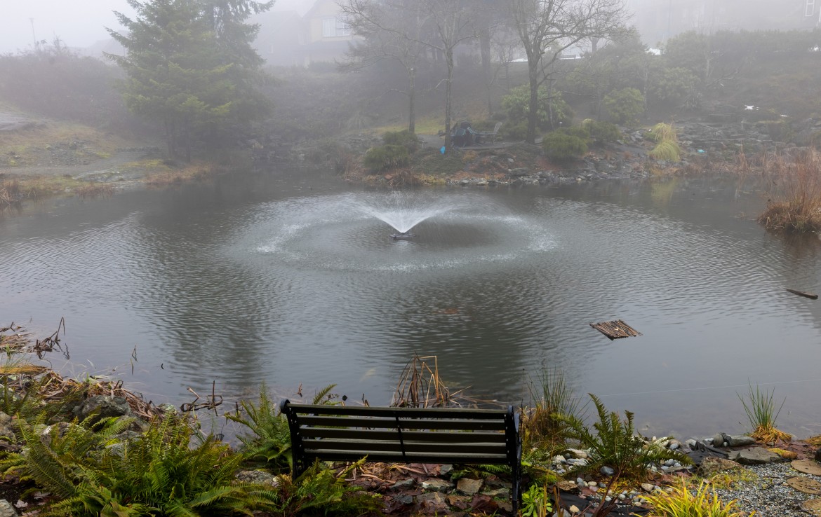 A viewpoint bench overlooking a water fountain in the middle of a pond on a foggy, wet day.