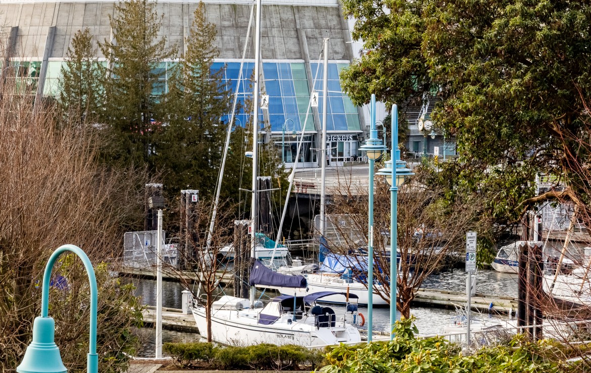 Nanaimo harbour across from the Port Theatre. Sale boats in view.