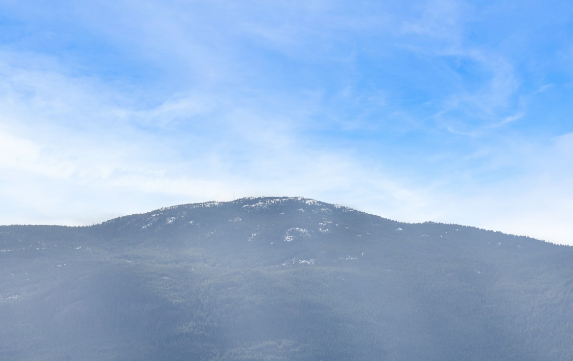 View of Mt. Benson