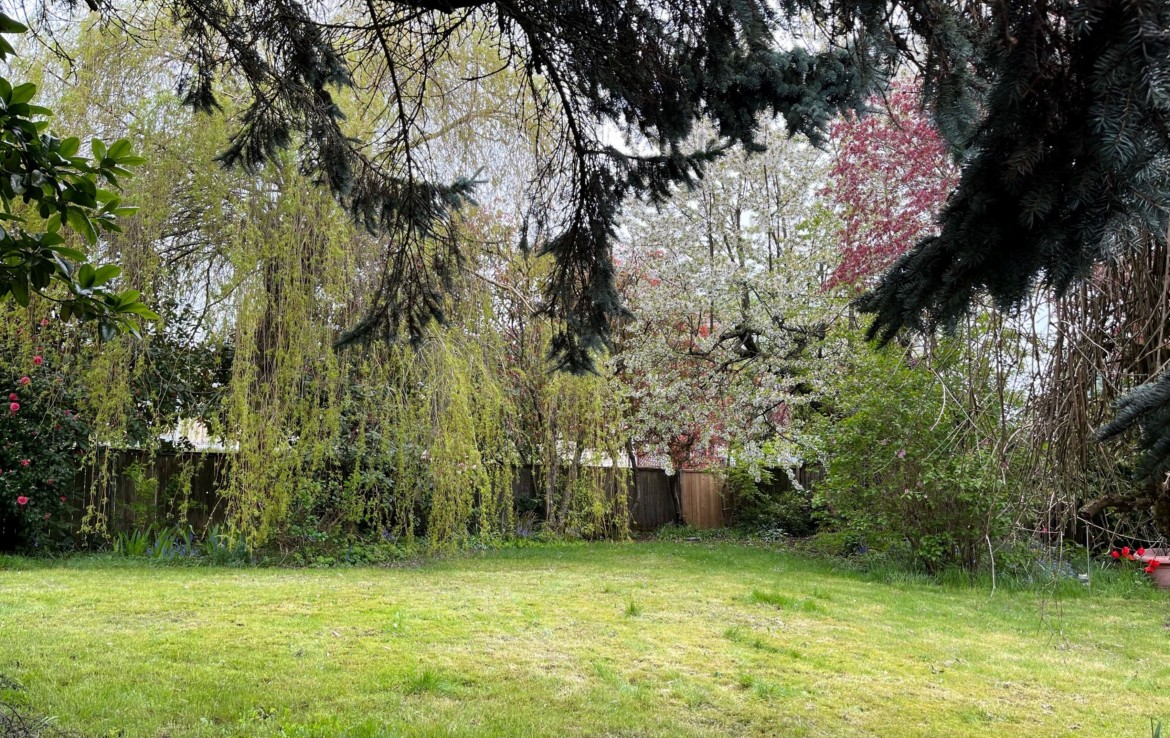 Full view of backyard, tree lined with fence. Blairgowrie, Nanaimo BC