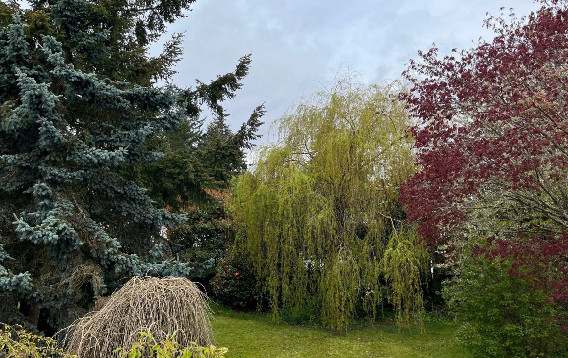 Backyard view with straight on of Willowtree, Blairgowrie, Nanaimo, BC