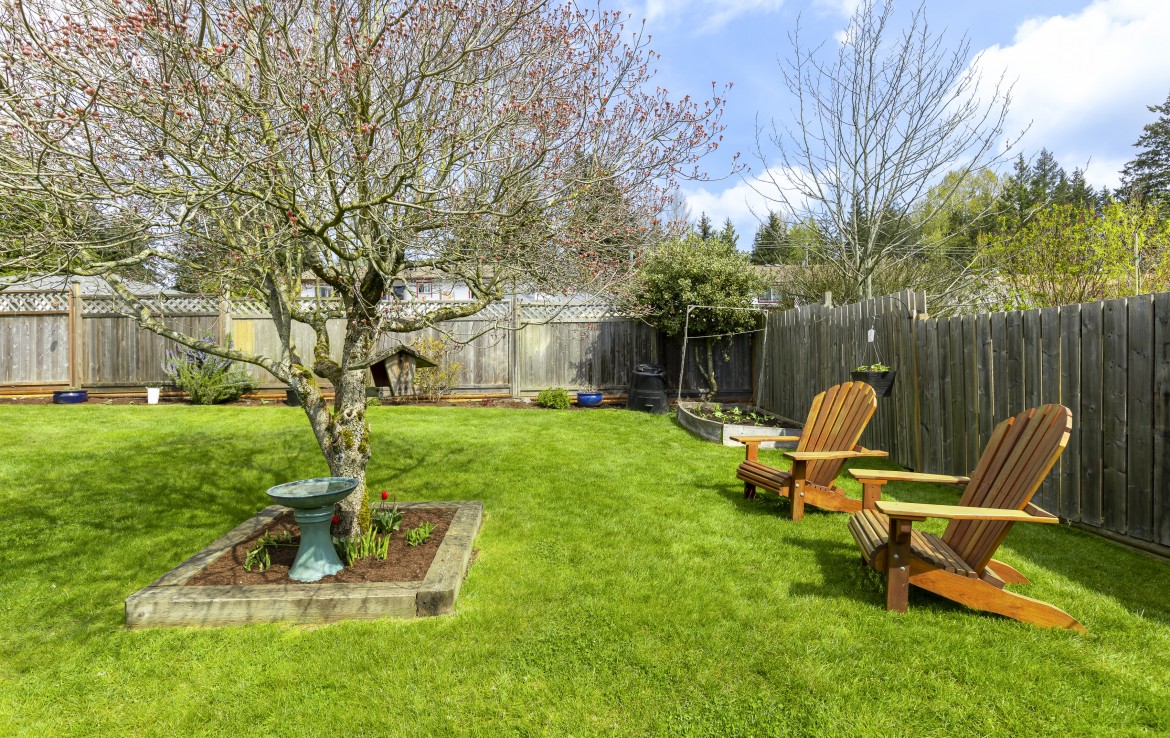 Tree, sitting area and garden of Nadely, Nanaimo, BC