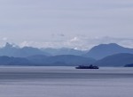 IMG_0498